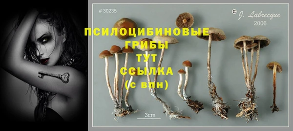 а пвп мука Козловка