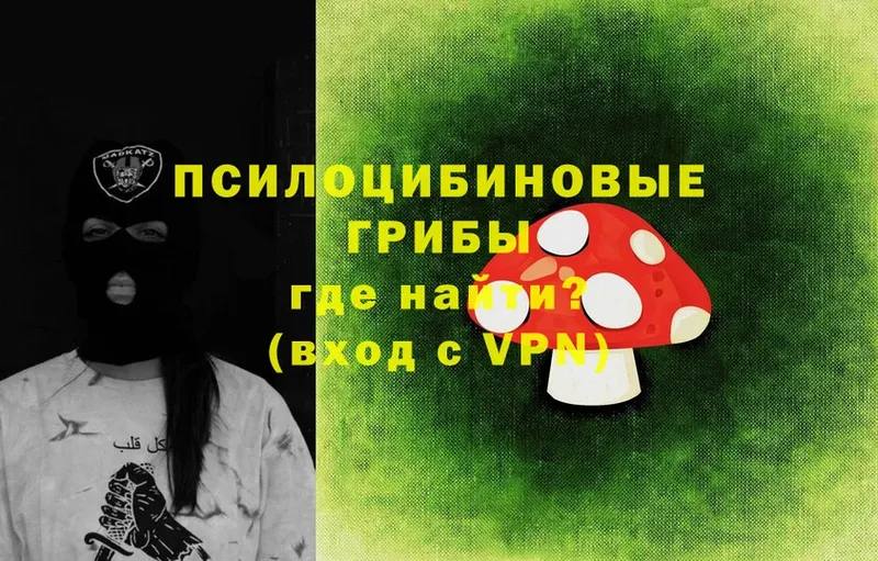 Галлюциногенные грибы Cubensis  Рязань 